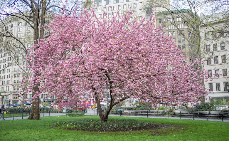 flatiron district new york 41 madison