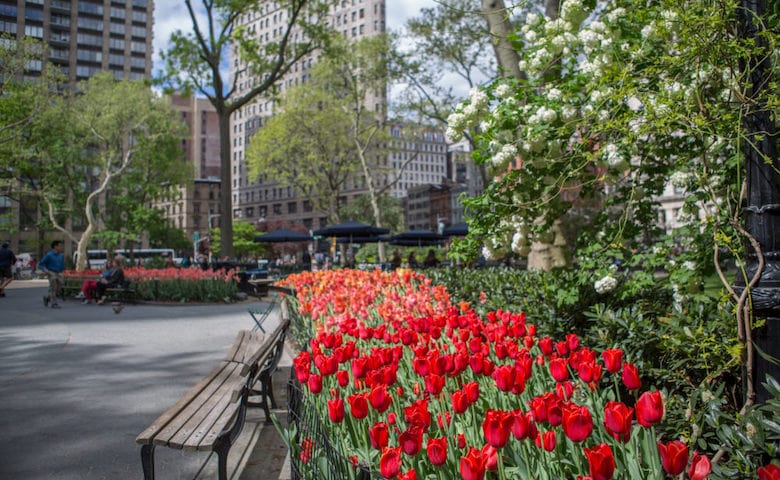 madison square park new york 41 madison