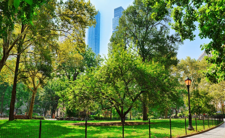 madison square park spring new york 41 madison